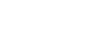 Partner_logo_16-9_Deloitte-blanc - Petite